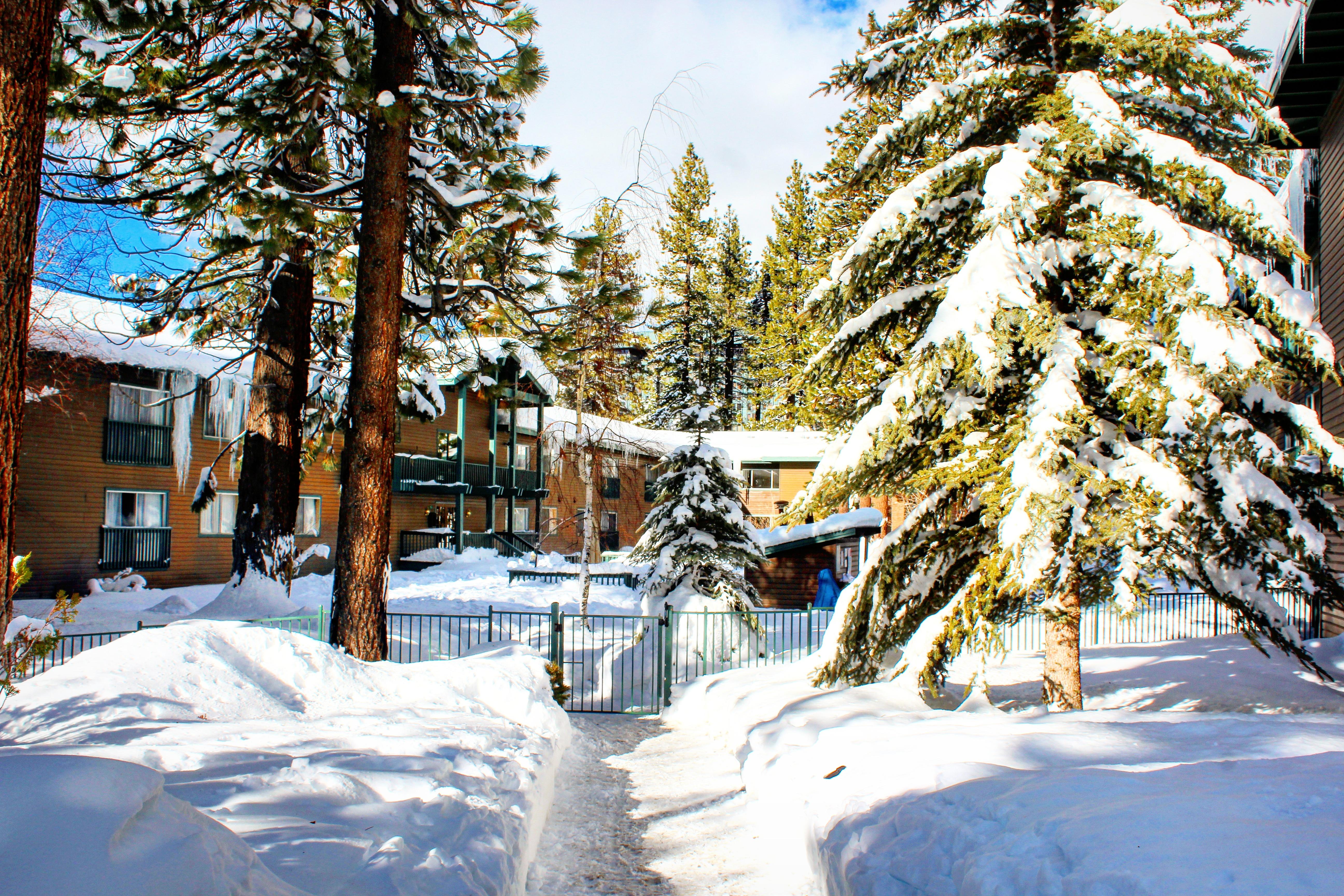 Forest Suites Resort At The Heavenly Village South Lake Tahoe Dış mekan fotoğraf